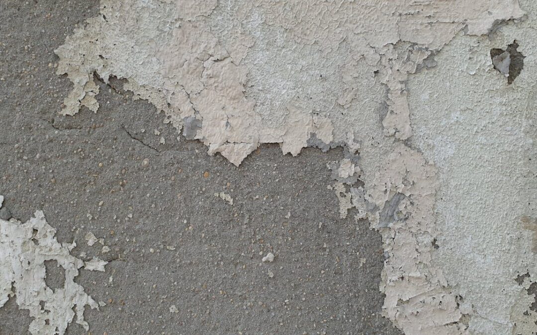 Soluções para ambientes fechados, úmidos ou com pouca ventilação: como proteger a saúde e evitar problemas estruturais