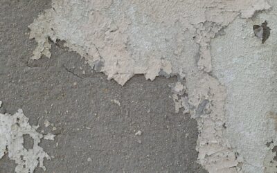 Soluções para ambientes fechados, úmidos ou com pouca ventilação: como proteger a saúde e evitar problemas estruturais